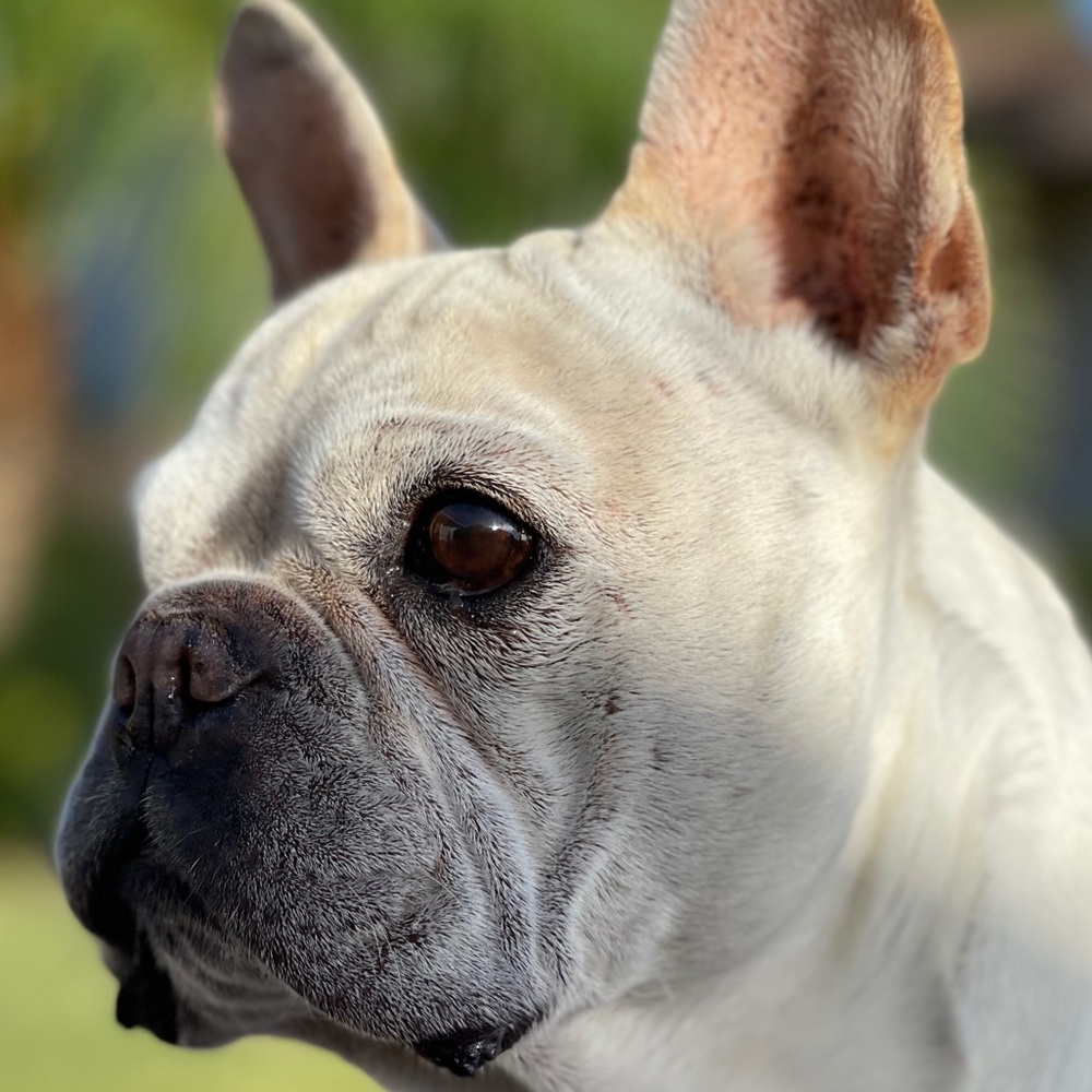 Meet your Posher, Ella